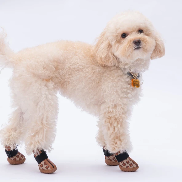 PawStar  Bears Köpek Ayakkabısı - 2