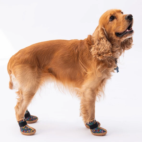 PawStar  Ferrara Köpek Ayakkabısı - 3