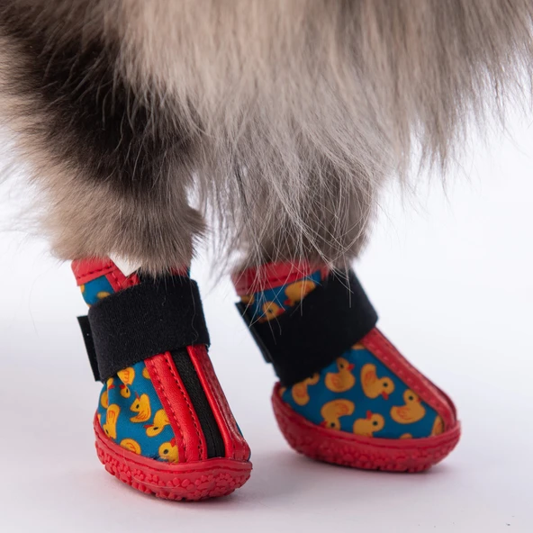 PawStar  Ducks Köpek Ayakkabısı - 3