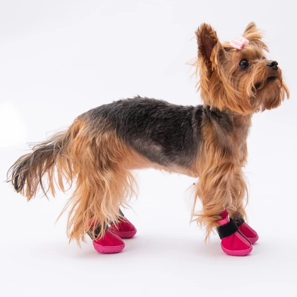 PawStar  Fuşya Köpek Ayakkabısı - 4