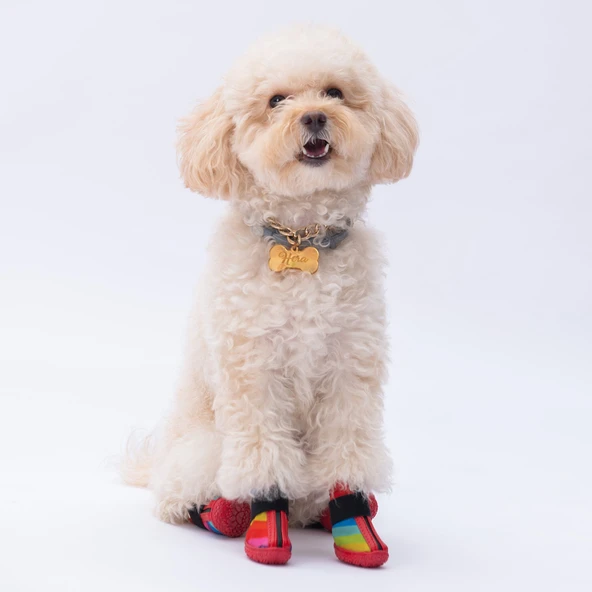 PawStar  Peru Köpek Ayakkabısı - 2