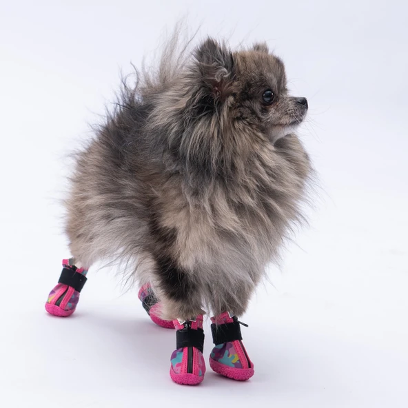 PawStar  Rosea Camouflage Köpek Ayakkabısı - 2