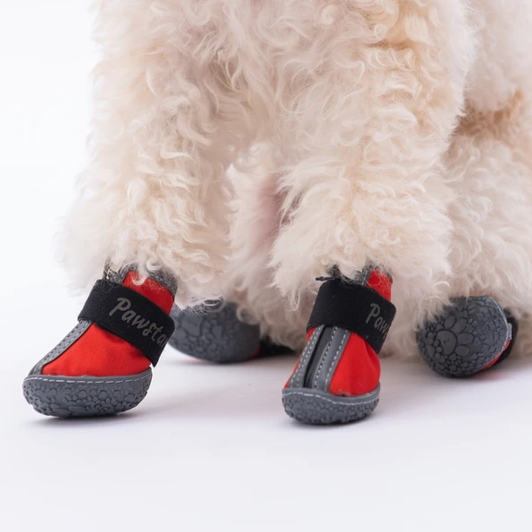 PawStar  Kırmızı Köpek Ayakkabısı - 2