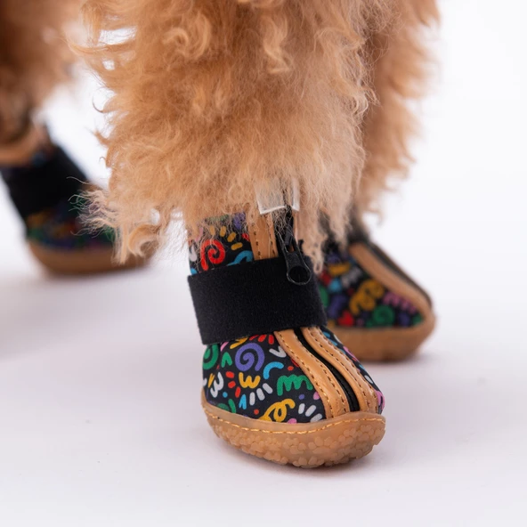 PawStar  Ferrara Köpek Ayakkabısı - 2