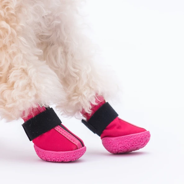 PawStar  Fuşya Köpek Ayakkabısı - 5