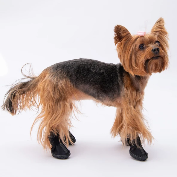 PawStar  Siyah Köpek Ayakkabısı - 3