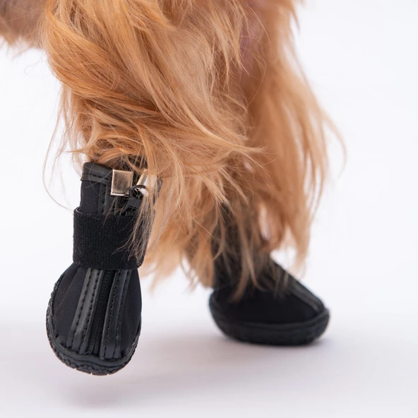 PawStar  Siyah Köpek Ayakkabısı - 2