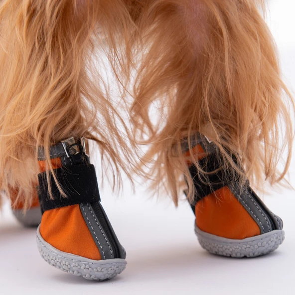 PawStar  Turuncu Köpek Ayakkabısı - 2