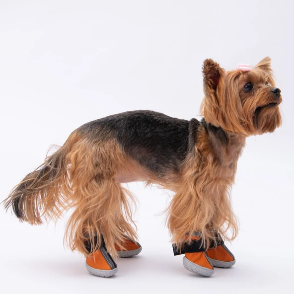 PawStar  Turuncu Köpek Ayakkabısı - 3