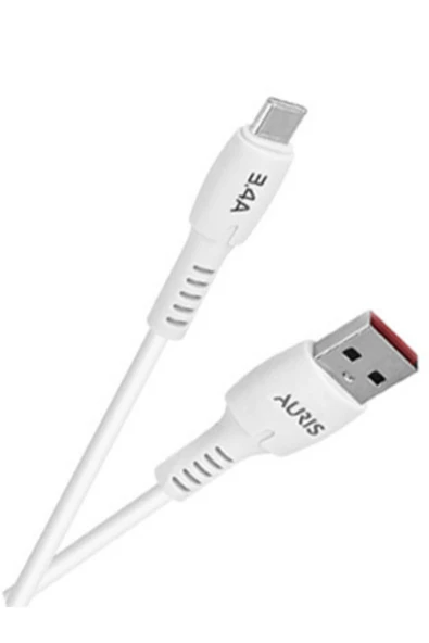 CH40 Type-C Hızlı Şarj Seti 3.4A - 3