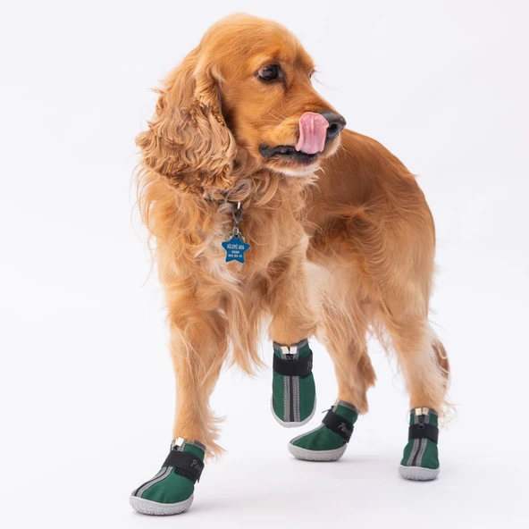 PawStar  Yeşil Köpek Ayakkabısı - 2