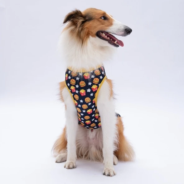 PawStar Star Hamburger T-Shirt Büyük Irk - Resim 3