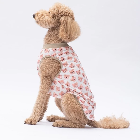 PawStar Cute Bears T-Shirt Büyük Irk - 4