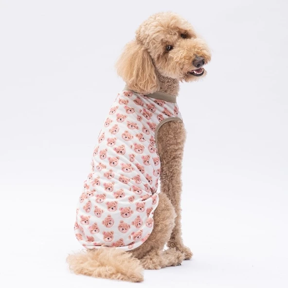 PawStar Cute Bears T-Shirt Büyük Irk - 2