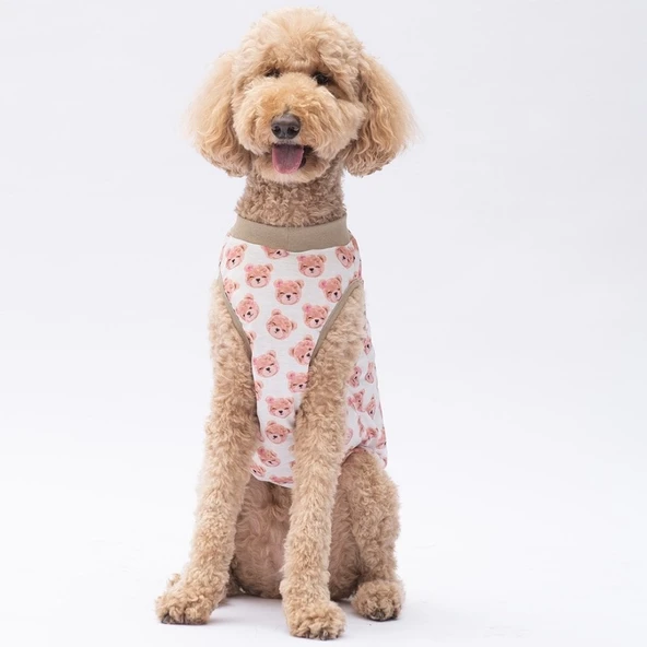 PawStar Cute Bears T-Shirt Büyük Irk - 3