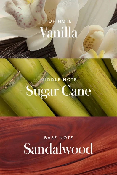 Athena Club Golden Vanilla Alüminyumsuz Tüm Vücut Stick Deodorant 85GR - 5