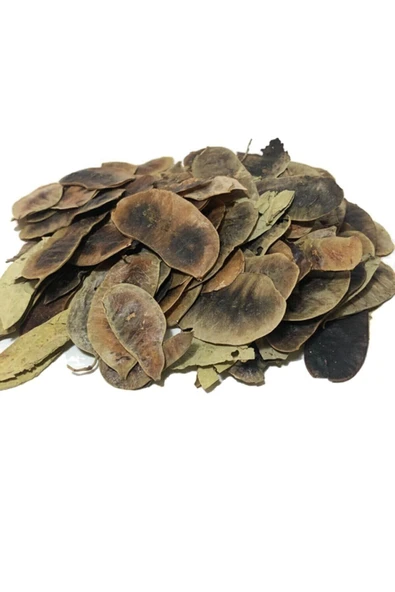 Aslışah Açlık Otu 250 Gr Açlıkotu