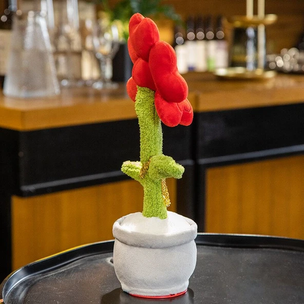 Şanslı Para Çiçek Peluş Oyuncak - Renkli Kutu - 40cm - 8