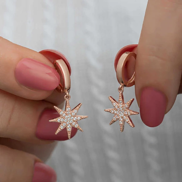 Gümüş Rose Sallantılı Kutup Yıldızı Kadın Küpe ürün görseli 1