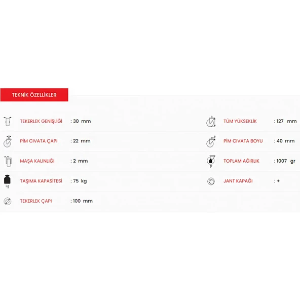 Emes EM03 SPR 100 F1 Merk Pimli Teker Frenli - Resim 3