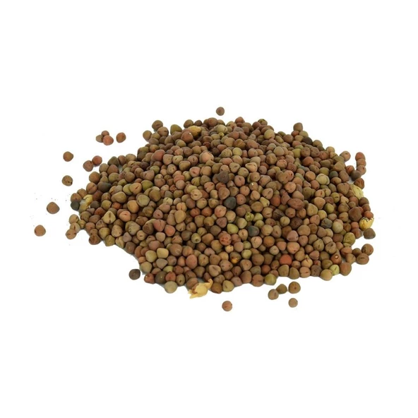 Doğal Saf Burçak Tohumu Naturel Tane Katkısız 100Gr Paket