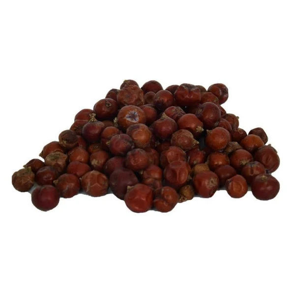 Doğal Ardıç Tohumu Saf Kırmızı Katran Ardıçı Juniper Seed 100GR