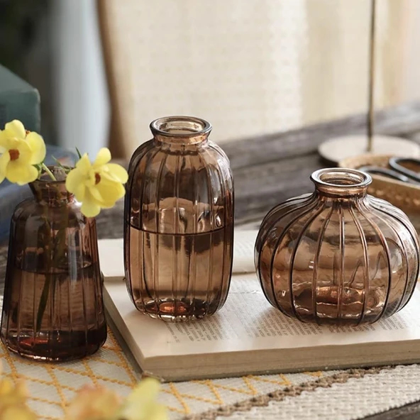 Mini Hidroponik Cam Vazo - Zen Şeffaf Üçlü Set - 5