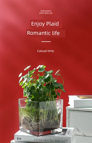 Minimalist Kare Cam Kaplumbağa Saksı - Kare 15*15 + Dikim Sepeti - 12