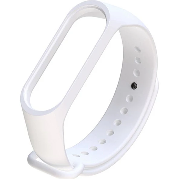 Gpack Xiaomi Mi Band 4 Kordon Silikon Kordon Renkli