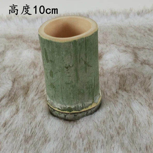 Bambu Tüp Vazo - 15cm Yükseklik - Ekstra Büyük Boy - 3