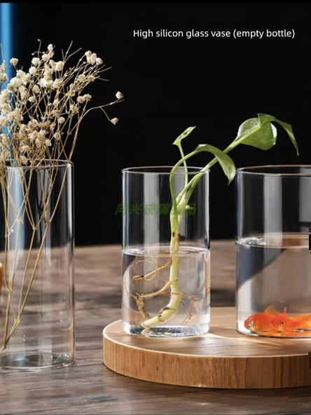 Borosilikat Cam Vazo - 6.5cm Çap 18cm Yükseklik 550ml - Resim 3