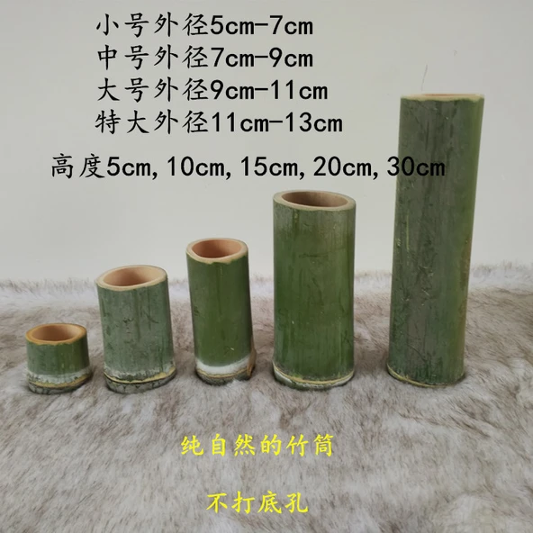 Bambu Tüp Vazo - 15cm Yükseklik - Ekstra Büyük Boy - 2