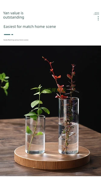 Borosilikat Cam Vazo - 6.5cm Çap 18cm Yükseklik 550ml - Resim 11