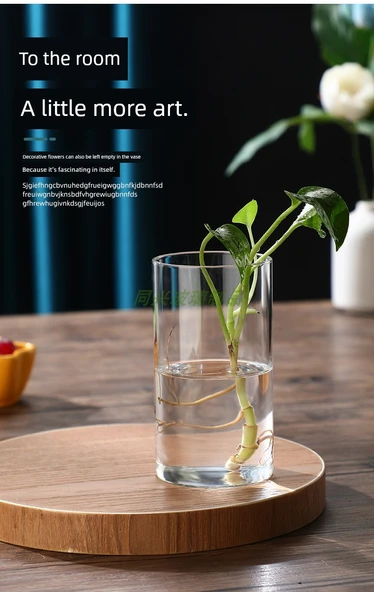 Borosilikat Cam Vazo - 6.5cm Çap 18cm Yükseklik 550ml - Resim 10