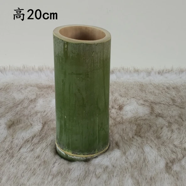 Bambu Tüp Vazo - 15cm Yükseklik - Ekstra Büyük Boy - 5