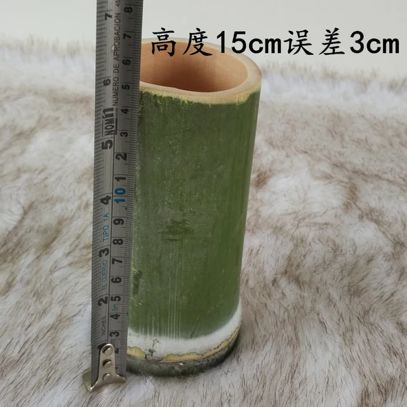 Bambu Tüp Vazo - 15cm Yükseklik - Orta Boy