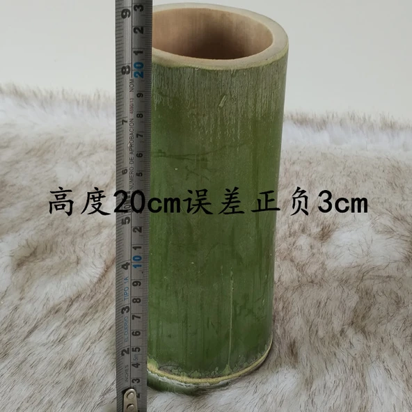 Bambu Tüp Vazo - 15cm Yükseklik - Ekstra Büyük Boy - 12