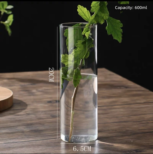 Borosilikat Cam Vazo - 6.5cm Çap 20cm Yükseklik 600ml