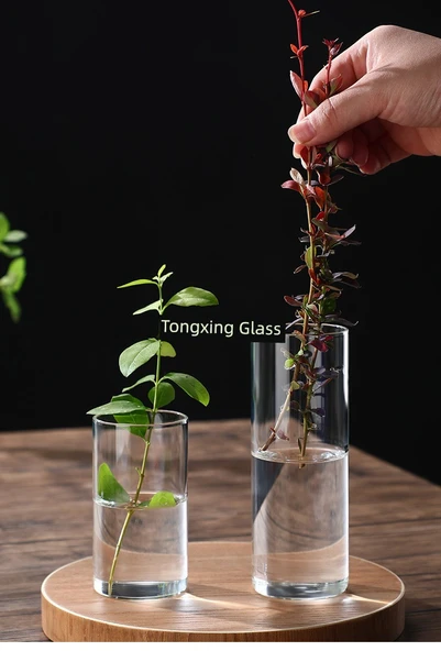 Borosilikat Cam Vazo - 6.5cm Çap 18cm Yükseklik 550ml - Resim 8