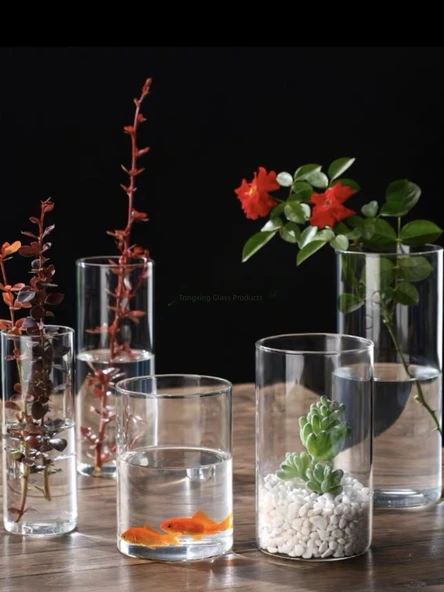 Borosilikat Cam Vazo - 6.5cm Çap 18cm Yükseklik 550ml - Resim 2