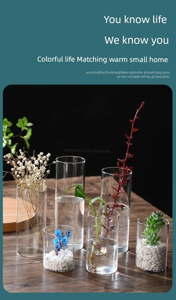 Borosilikat Cam Vazo - 6.5cm Çap 18cm Yükseklik 550ml - Resim 9