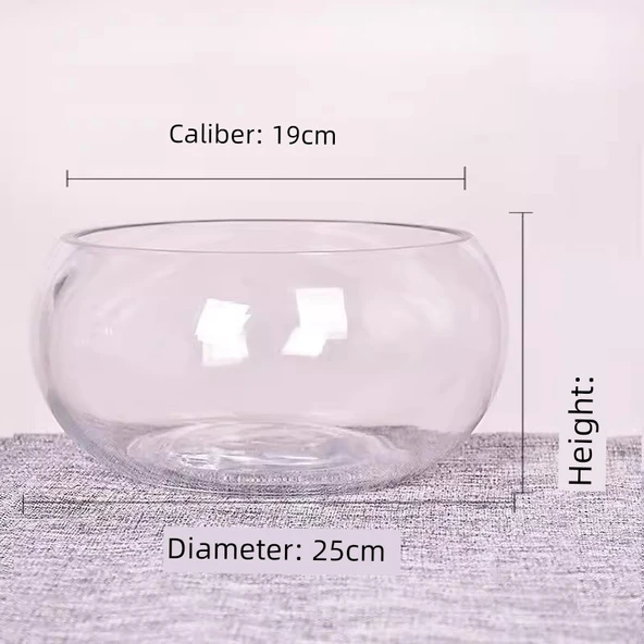 Çin Stili Kalınlaştırılmış Cam Vazo - Lotus Nergis Saksısı - 25cm (Renkli Taşlı)