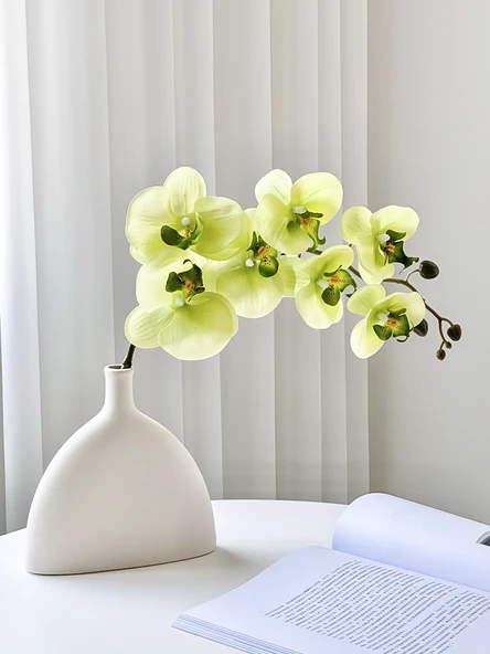İskandinav Seramik Vazo - B Vazo + 7 Başlıklı Yeşil Phalaenopsis