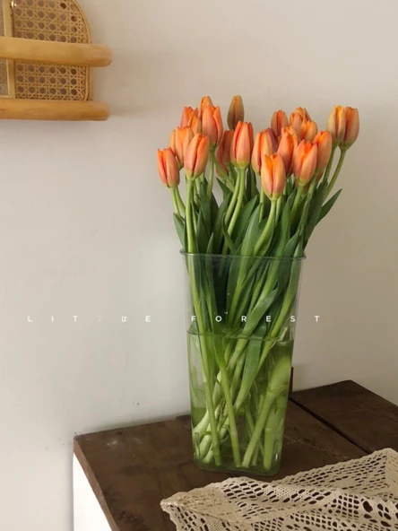 Akrilik Çiçek Tüpü - Büyük Boy Yuvarlak Yüksek Şeffaf - 38cm - Resim 3