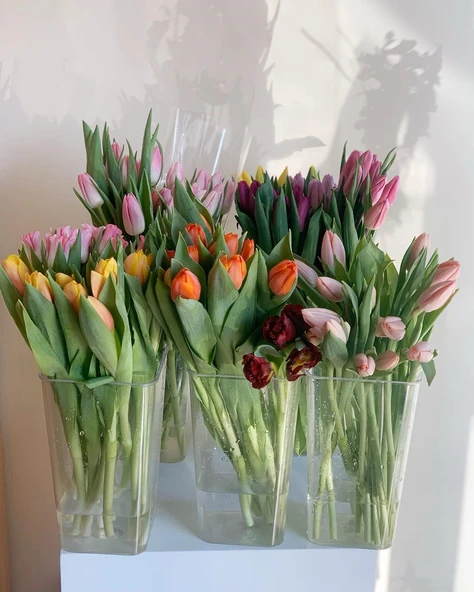 Akrilik Çiçek Tüpü - Büyük Boy Yuvarlak Yüksek Şeffaf - 38cm - Resim 7