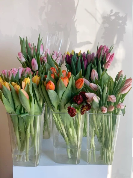 Akrilik Çiçek Tüpü - Büyük Boy Yuvarlak Yüksek Şeffaf - 38cm - Resim 2