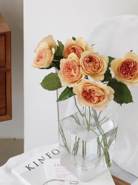 Akrilik Çiçek Tüpü - Büyük Boy Yuvarlak Yüksek Şeffaf - 38cm - Resim 4