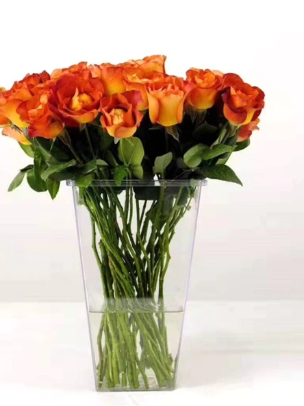 Akrilik Çiçek Tüpü - Büyük Boy Yuvarlak Yüksek Şeffaf - 38cm - Resim 6