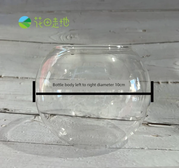 Şeffaf Cam Mikro Peyzaj DIY Yosun Akvaryum Çiçek Kabı - 10cm Çap