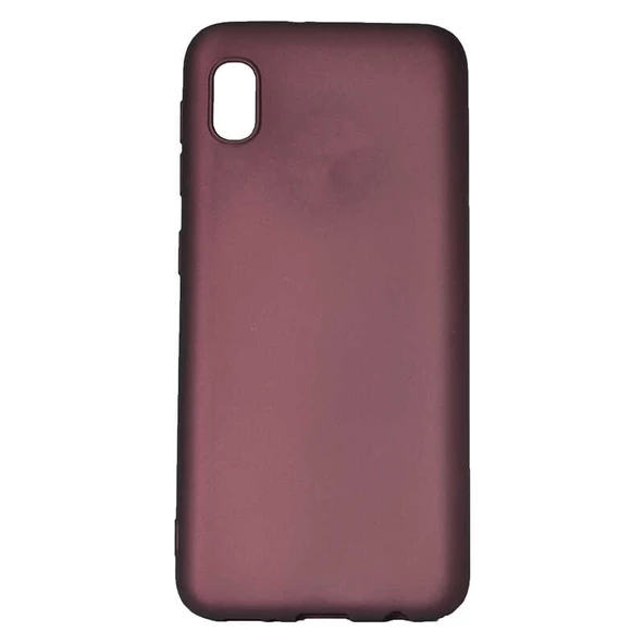Gpack Samsung Galaxy A01 Core Kılıf Mat Soft Premier SilikonNano Glass - 3